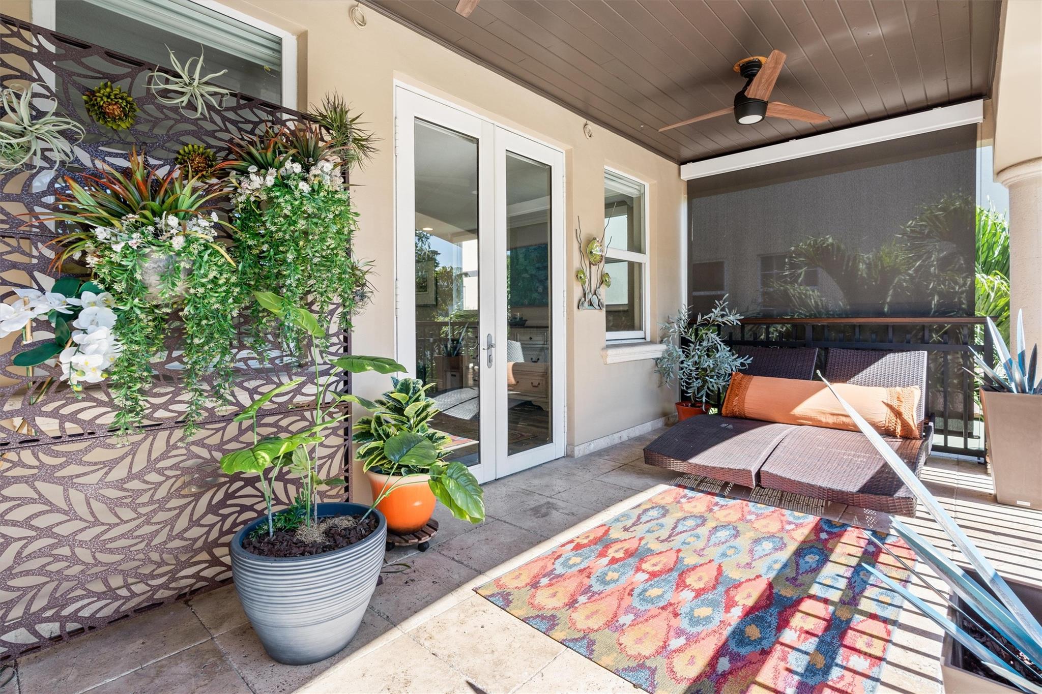 Canary Palm - Residential