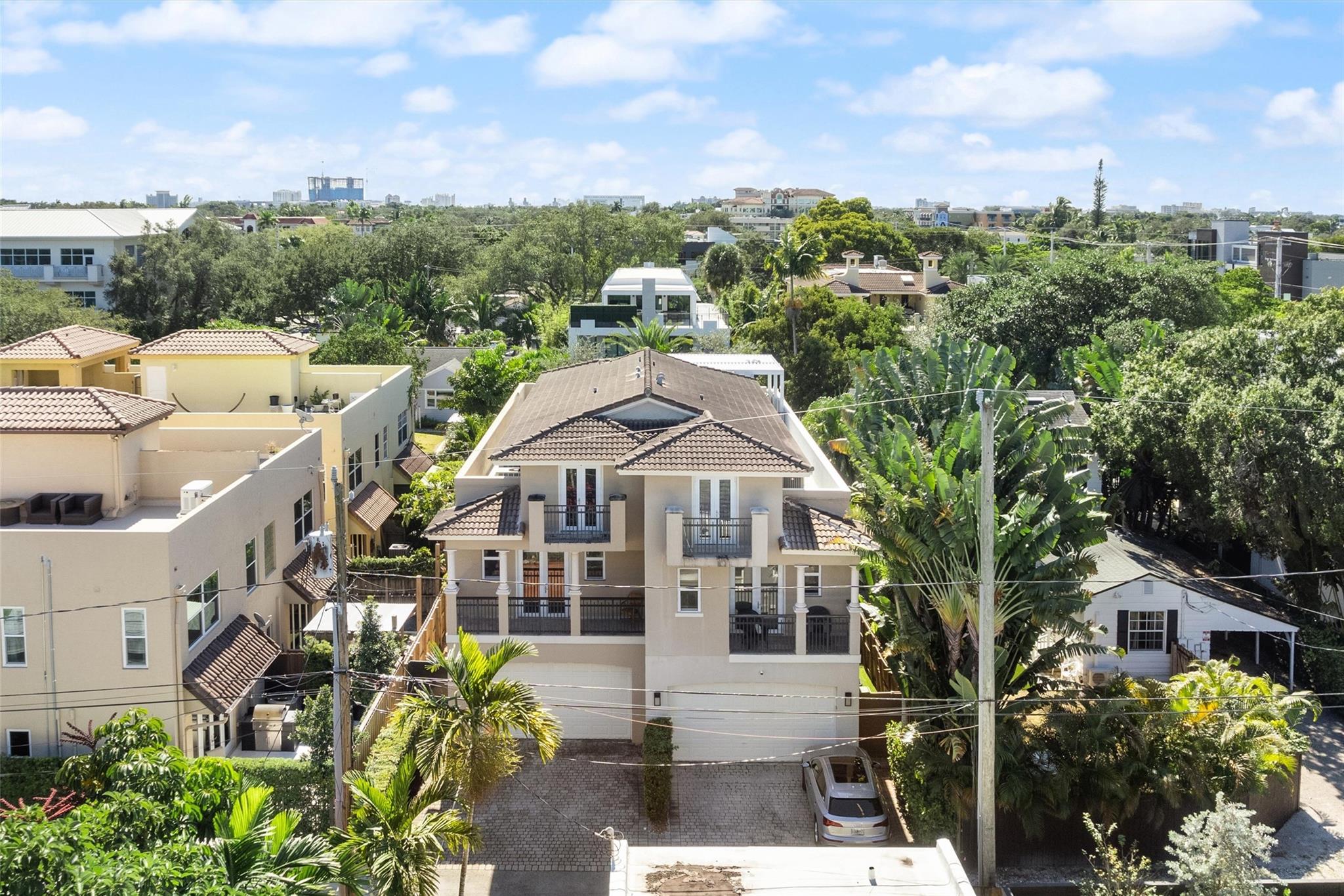 Canary Palm - Residential