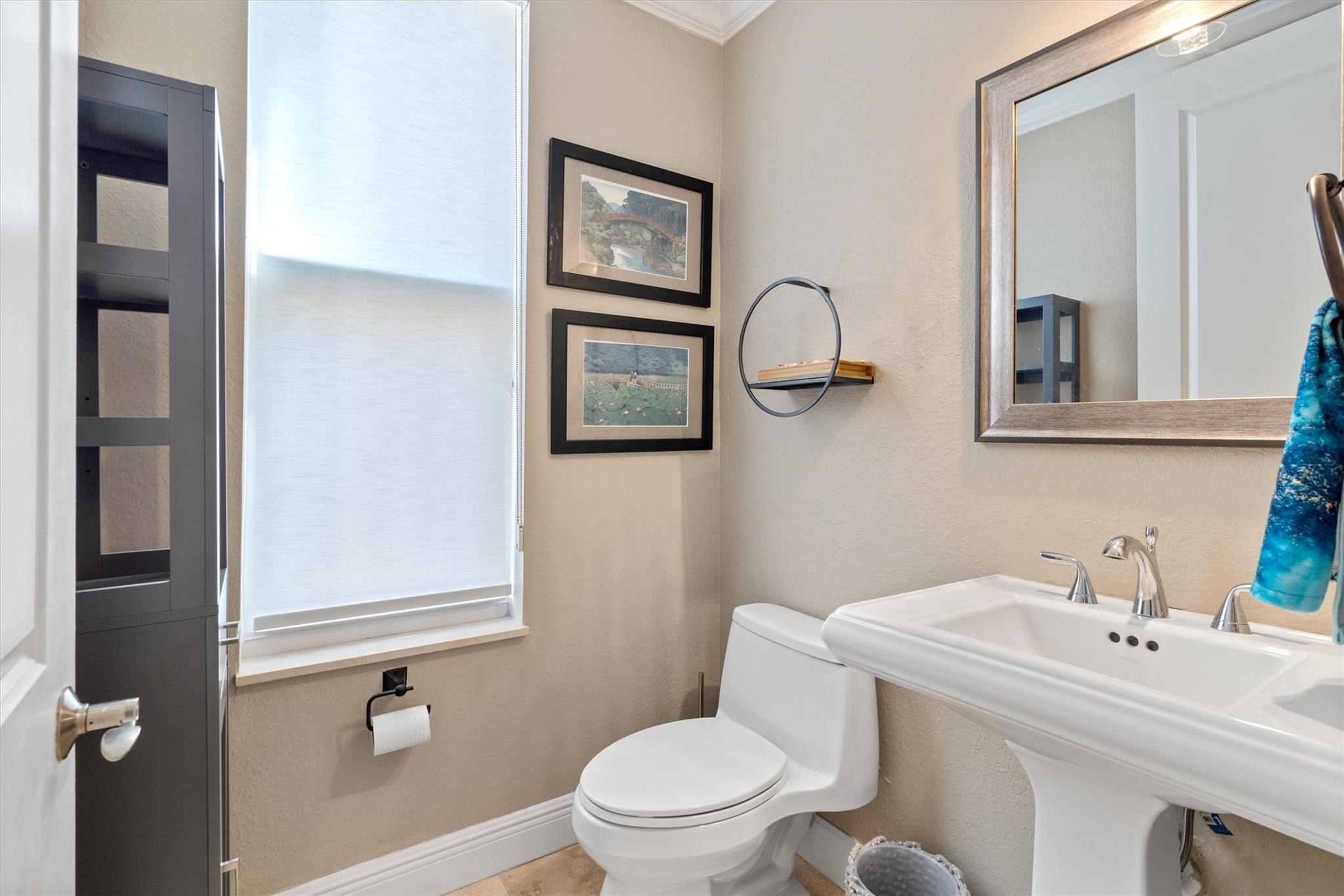 Canary Palm - Residential