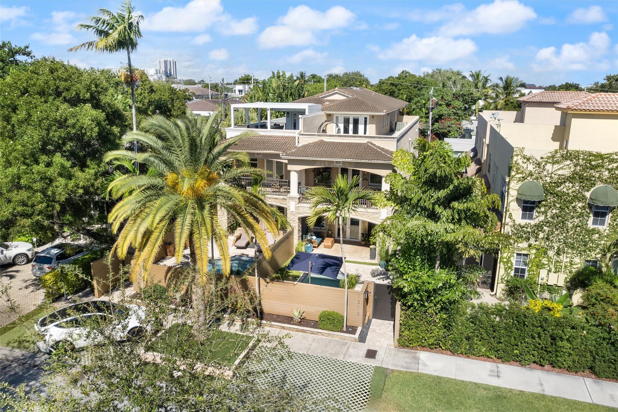 Canary Palm - Residential