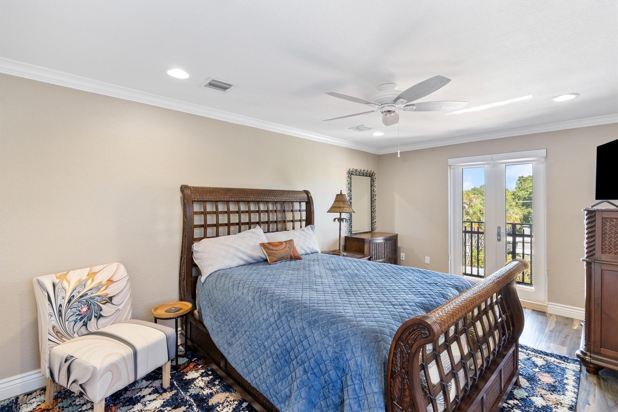 Canary Palm - Residential