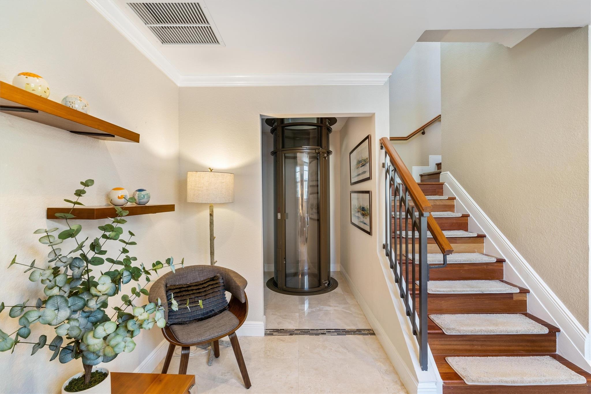 Canary Palm - Residential