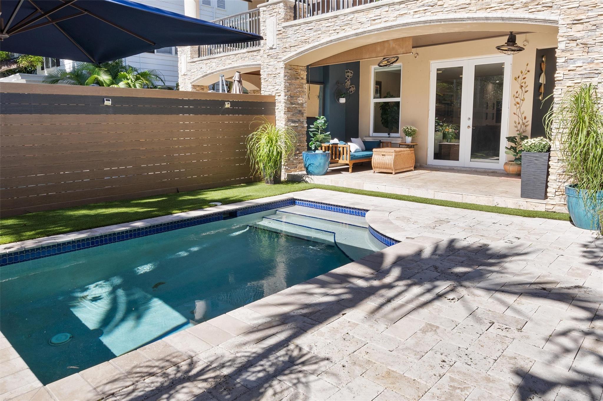 Canary Palm - Residential