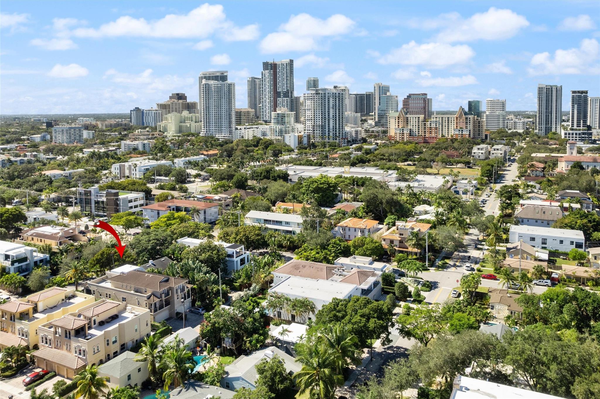 Canary Palm - Residential