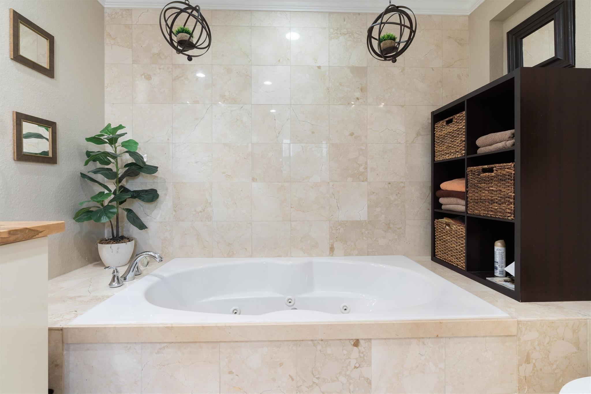 Canary Palm - Residential