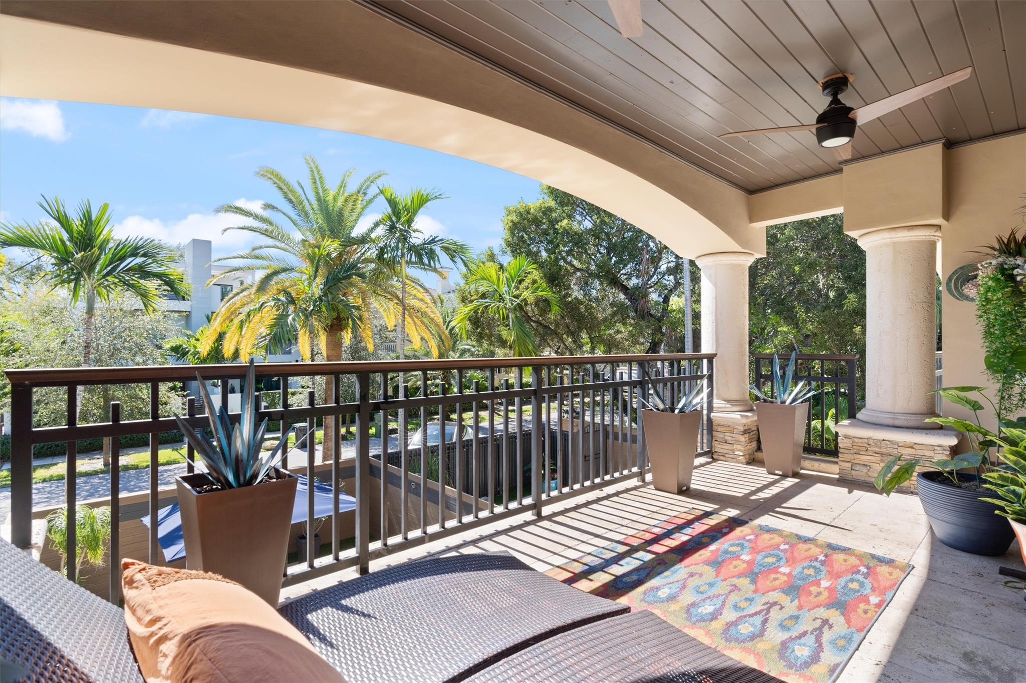 Canary Palm - Residential