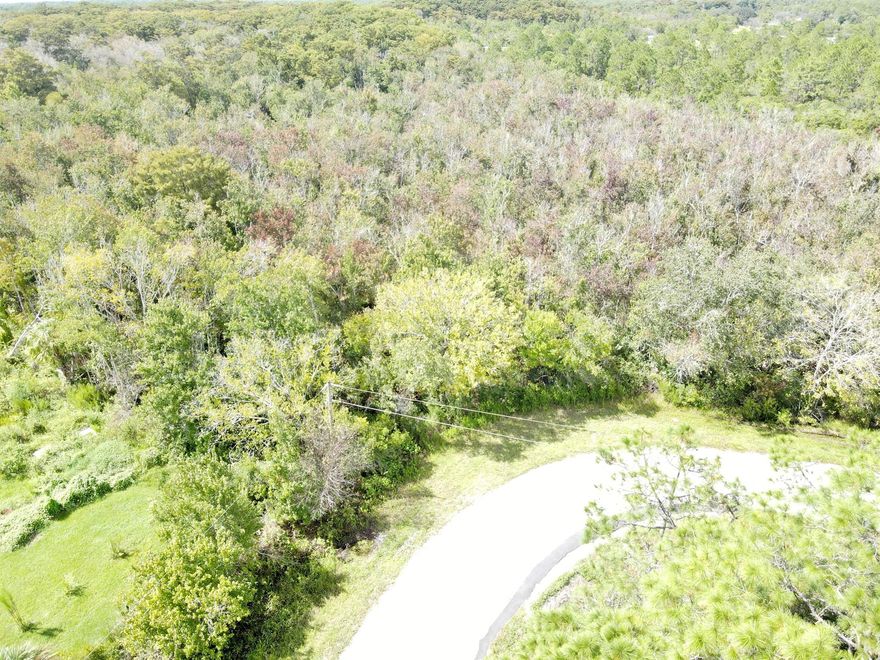 Escape to your own private retreat with this 6.88-acre fully wooded dry lot in beautiful Okeechobee County, Florida. This high-and-dry parcel is perfect for a secluded homestead, recreational use, or long-term investment--and it's a hunter's paradise with deer and wild hogs frequently seen on the property.Property Features: 6.88 Acres of dry, buildable land--no wetlands! Fully wooded with mature hardwoods and native vegetation.Excellent habitat for deer, wild hogs, and other native wildlifePerfect for a hunting camp, off-grid retreat, or manufactured or custom built homeAmple space for livestock, gardening, or recreational useEasy access to SR-70 and US-441; just minutes from downtown Okeechobee and Fort Drum.