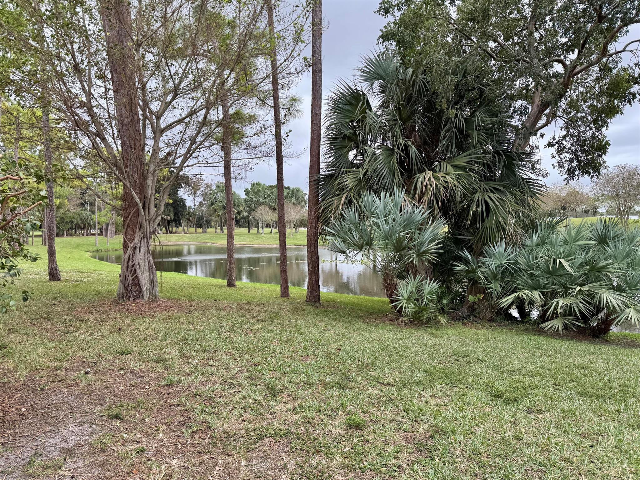 PALM BEACH TRACE COND DEC - Residential