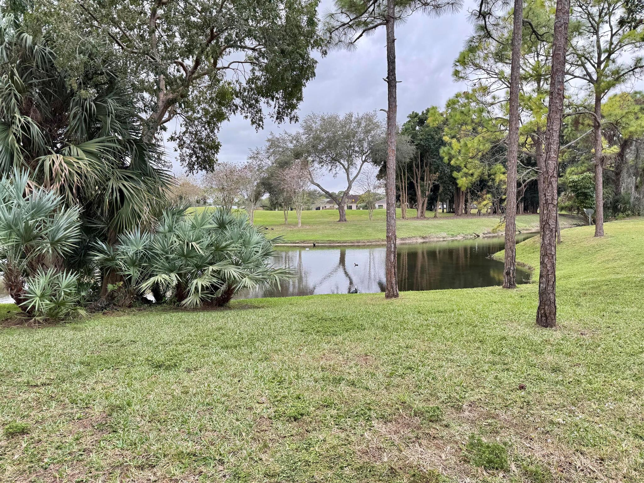 PALM BEACH TRACE COND DEC - Residential