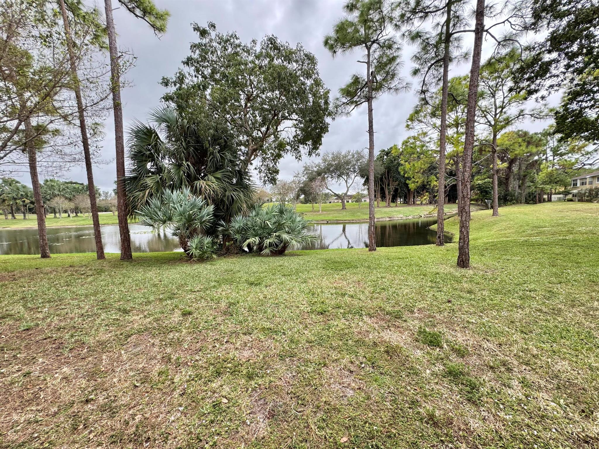 PALM BEACH TRACE COND DEC - Residential