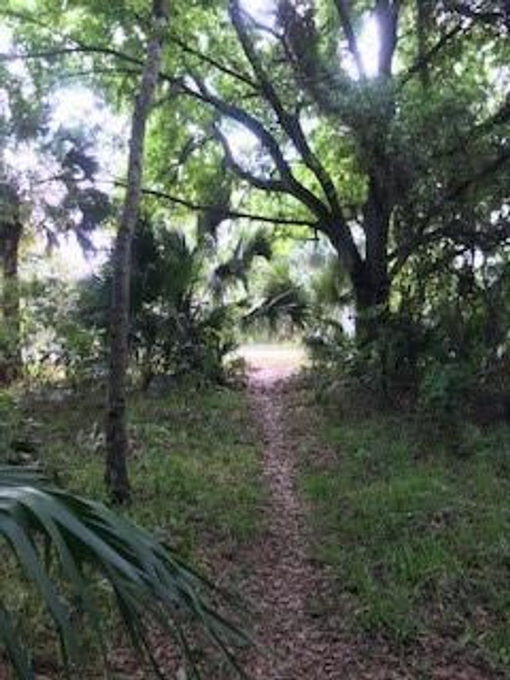 Photo of SW Alligator St, Palm City, FL 34990 (MLS # F10274973)