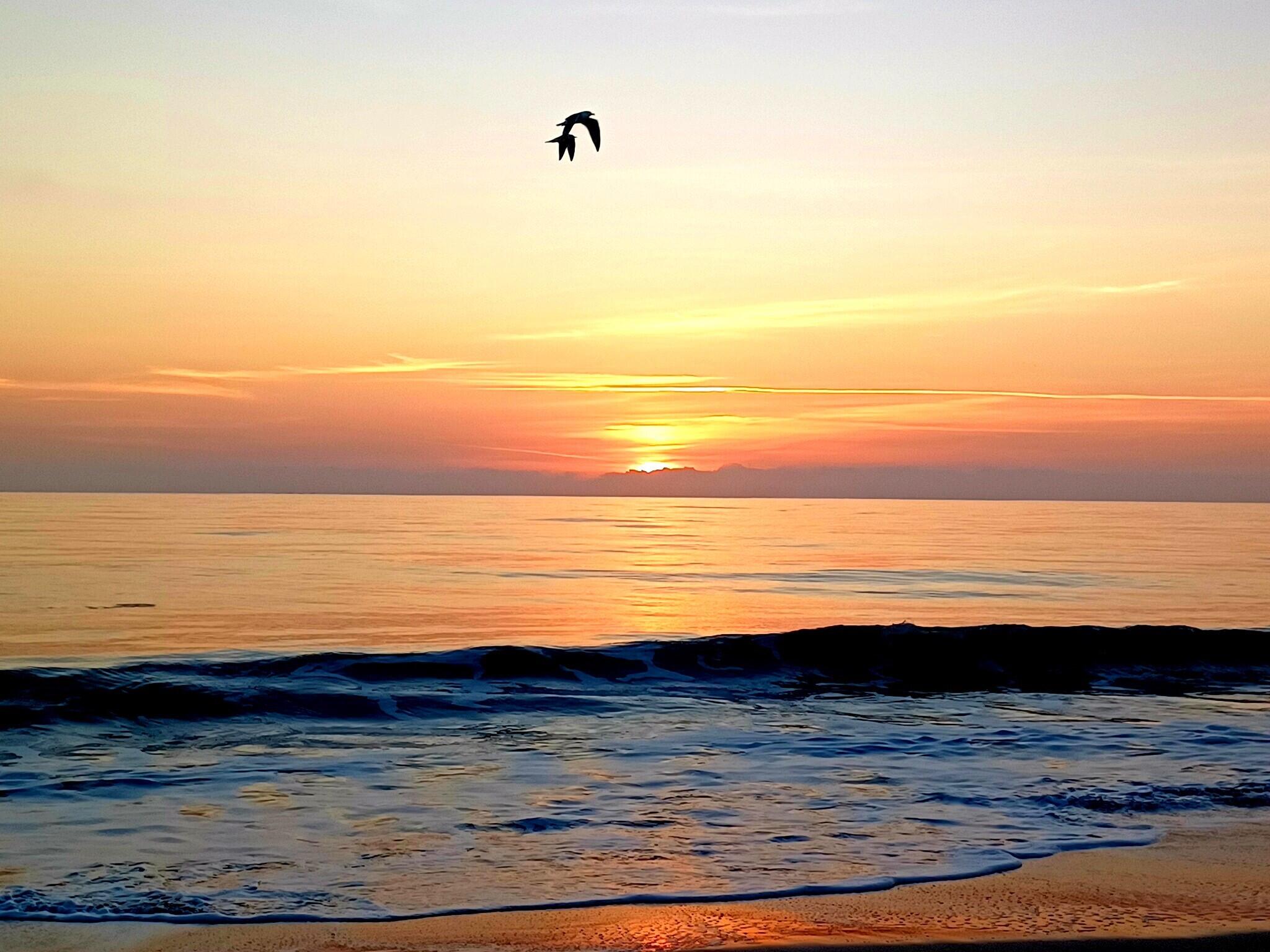 ROSELAND GARDENS - Residential Lease