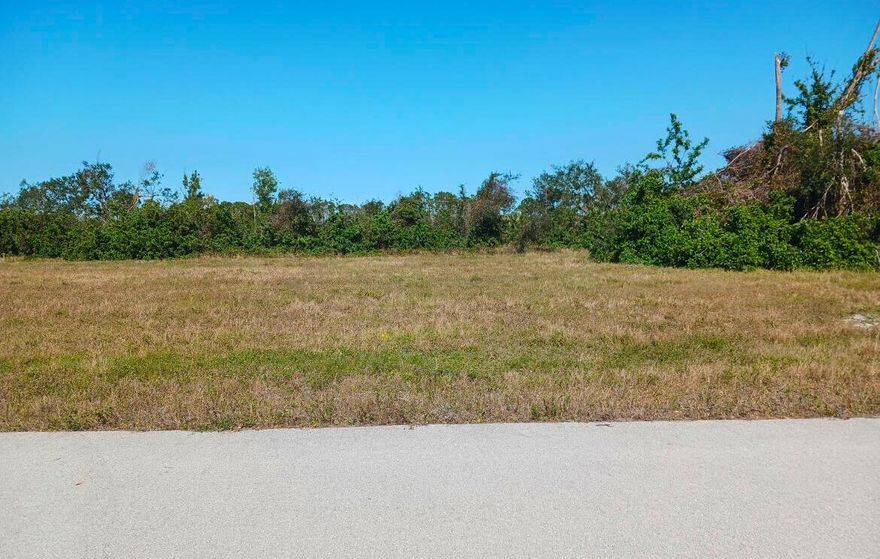 Take advantage of this rare opportunity to own land on a canal and build your dream home before the highly anticipated Festival Park project begins. Situated in a prime location, providing a perfect backdrop for your future home.