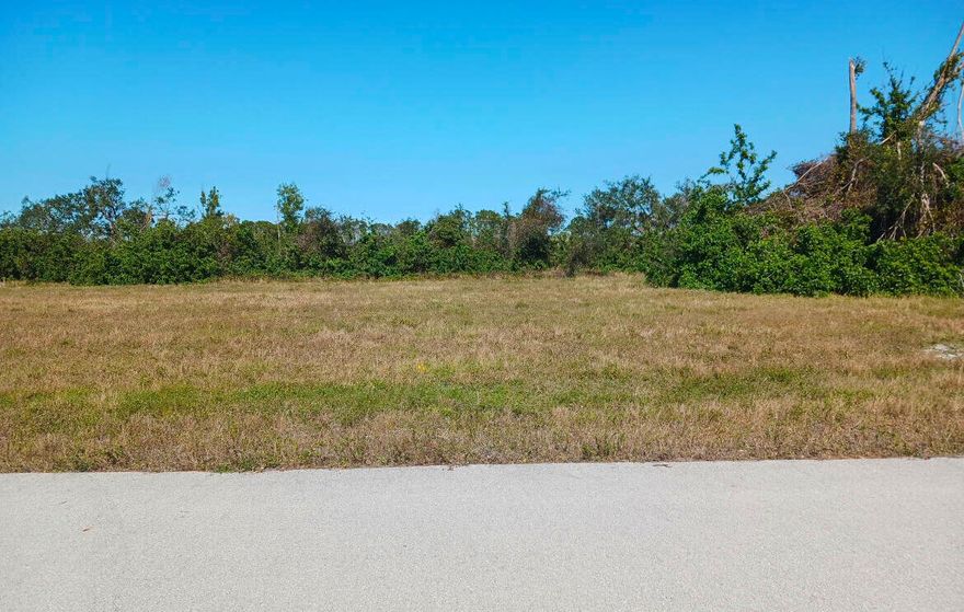 Take advantage of this rare opportunity to own land on a canal and build your dream home before the highly anticipated Festival Park project begins. Situated in a prime location, providing a perfect backdrop for your future home.
