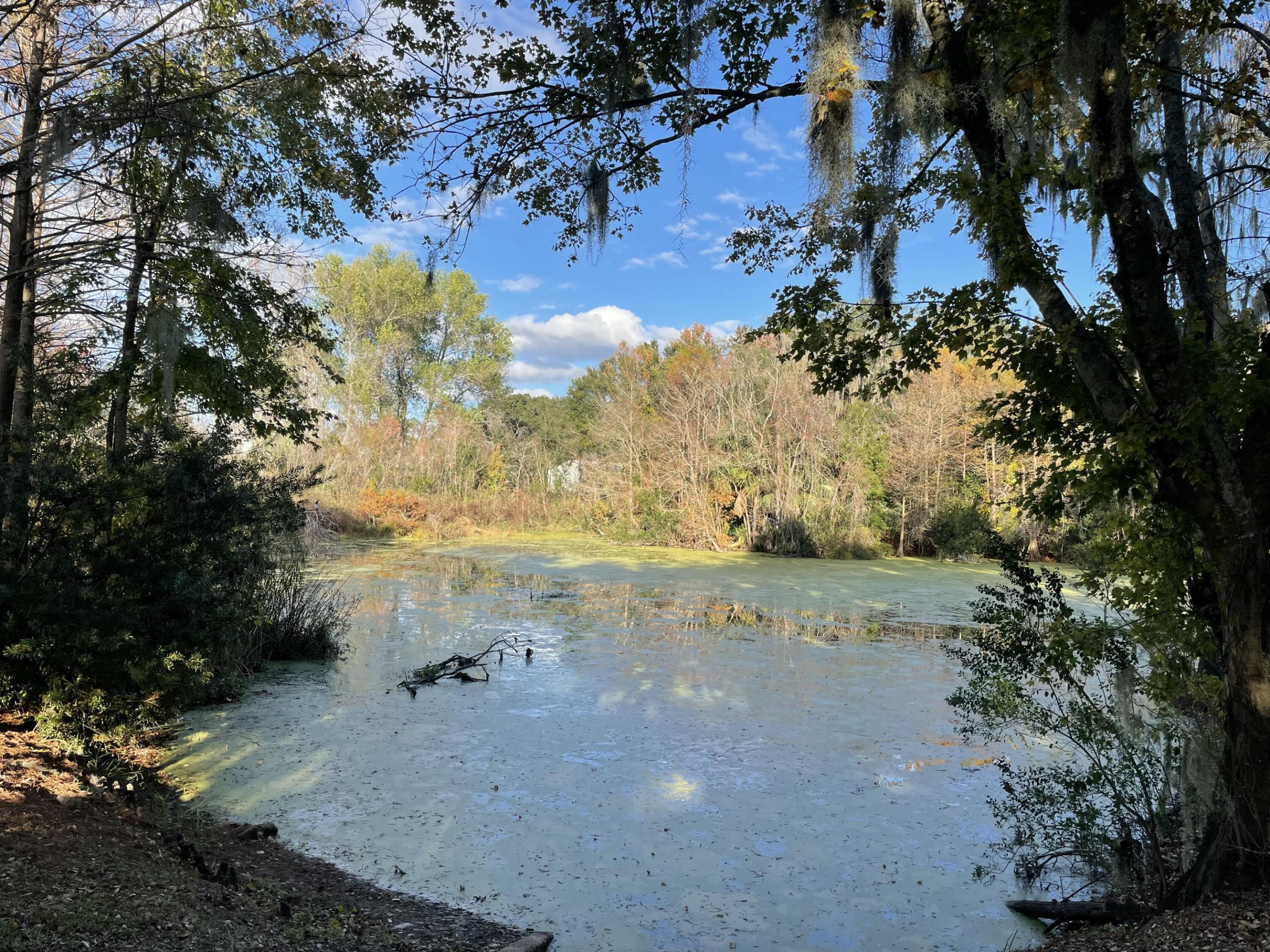 CAMPUS EDGE - Residential