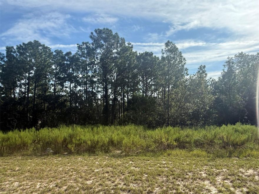 Build your dream home on this spacious 0.37-acre lot located in the growing community of Marion Oaks! Nestled on a paved road with power nearby, this property offers plenty of room for a custom home, outdoor living, and more. No HOA fees. Conveniently situated with easy access to I-75, shopping, dining, schools, and medical facilities. Just a short drive to Ocala's renowned equestrian venues, natural springs, and state parks. Don't miss the opportunity to secure your own piece of Florida paradise! for directional purposes use 8443 sw 135th st rd. Buyer to verify all property details including zoning, utilities, land use, and building requirements. All information deemed reliable but not guaranteed.
