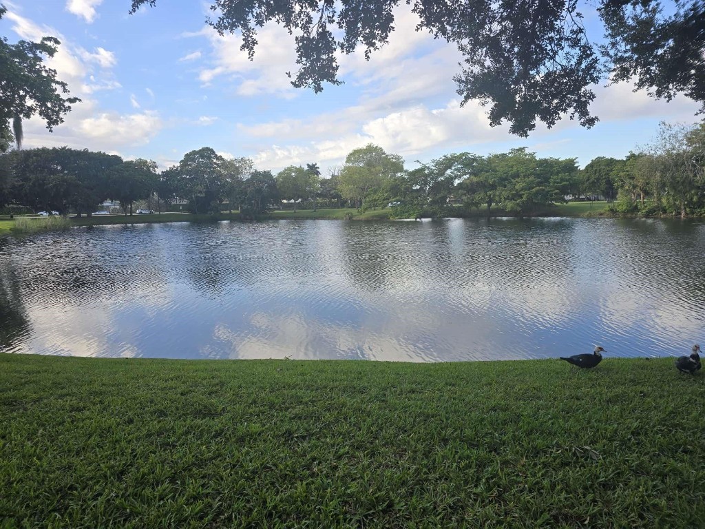 Grenadier Lakes - Residential