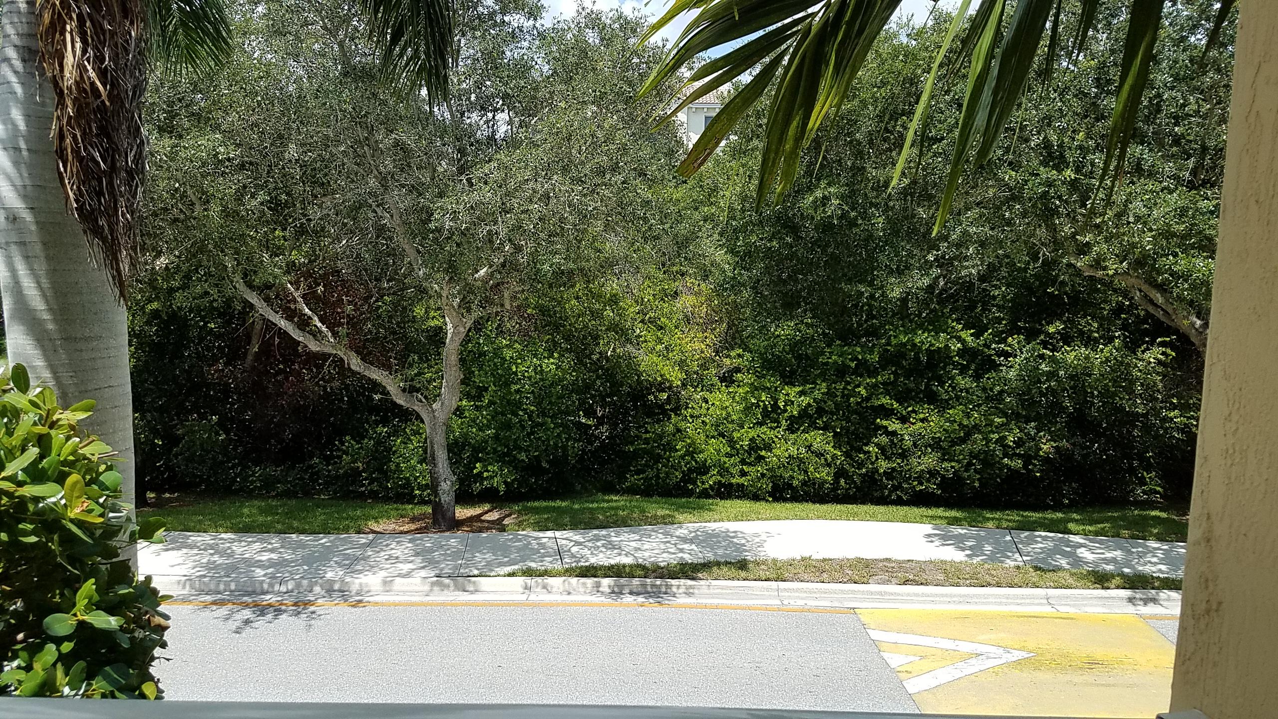 Firenze at Renaissance Commons - Residential