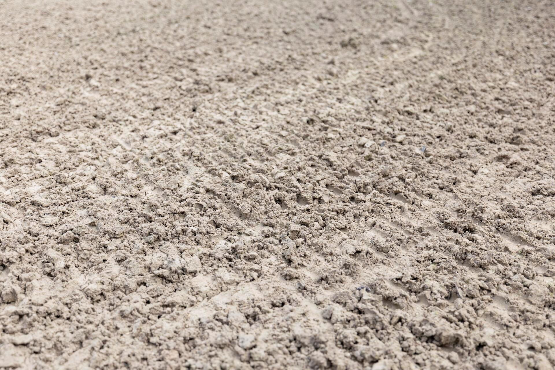 wellington - Residential Lease