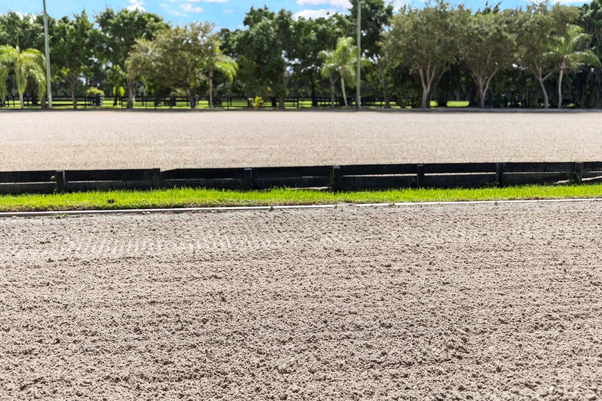 wellington - Residential Lease