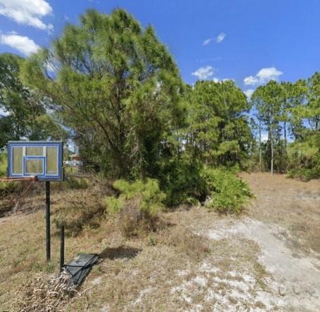 Lehigh Acres - Land