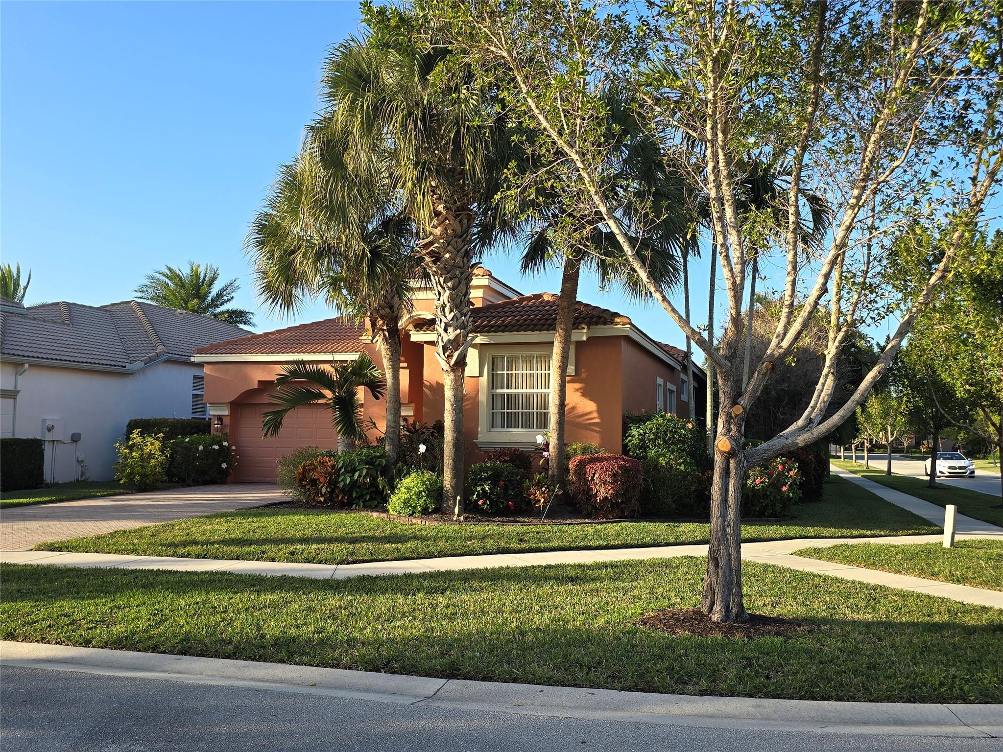 Buena Vida - Residential