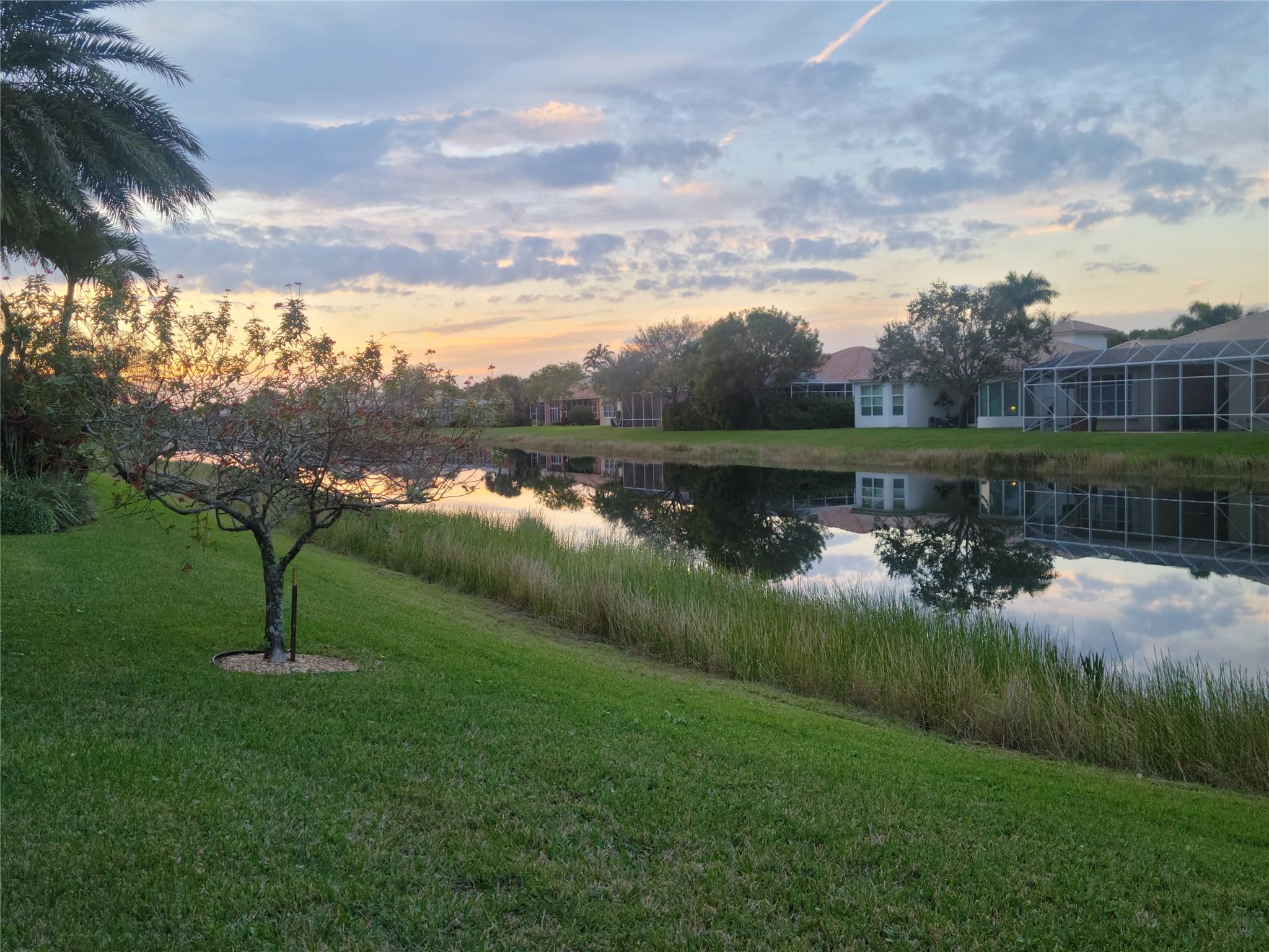 Buena Vida - Residential