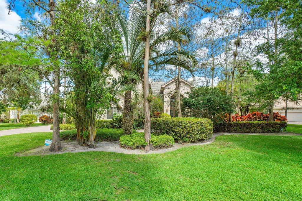 BINKS FOREST OF THE LANDINGS AT WELLINGTON - Residential