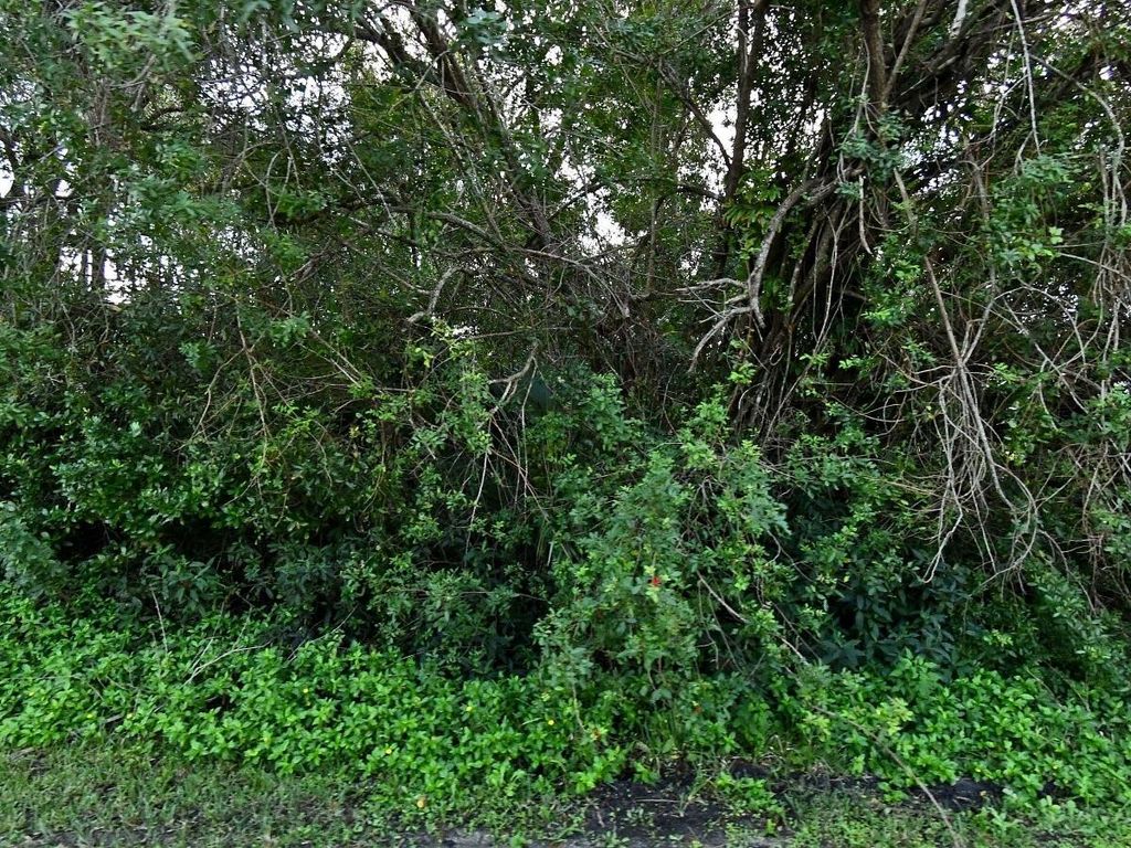 Photo of 7505 Sebastian Road, Fort Pierce, FL 34951 (MLS # R10985034)
