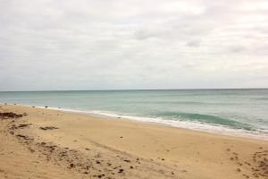 South Palm Residence - Residential