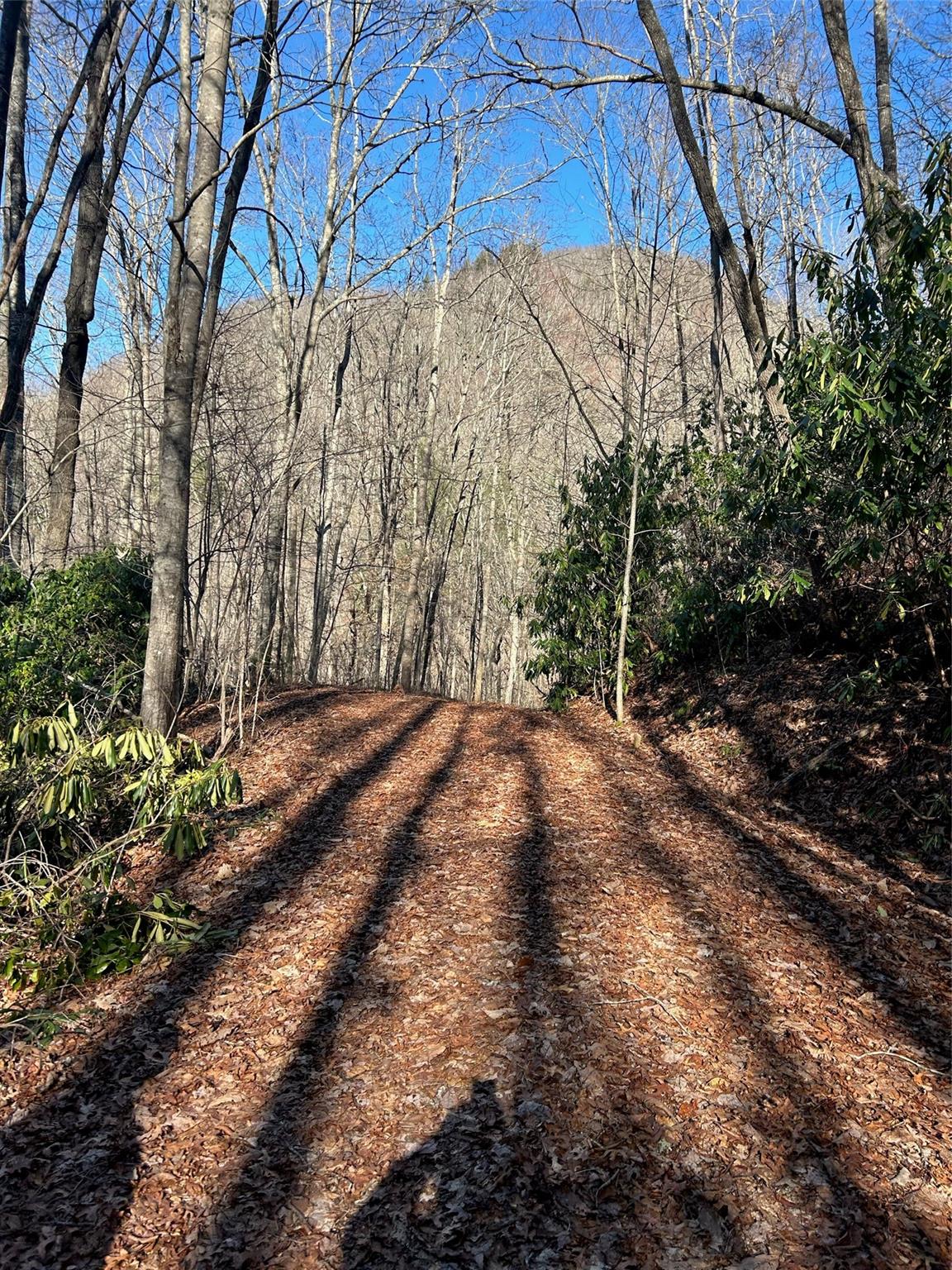 191 MEANDERING WAY