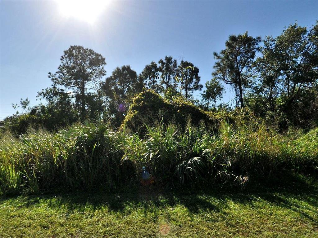 Great Location!! Located just west of the Turnpike and east of I-95, this lot is within walking distance of shopping and restaurants. Come build your dream home here!!