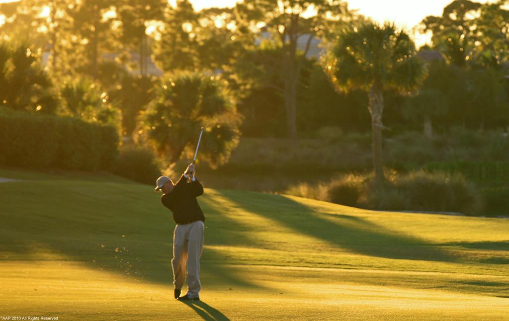 OLD PALM 4 - Residential