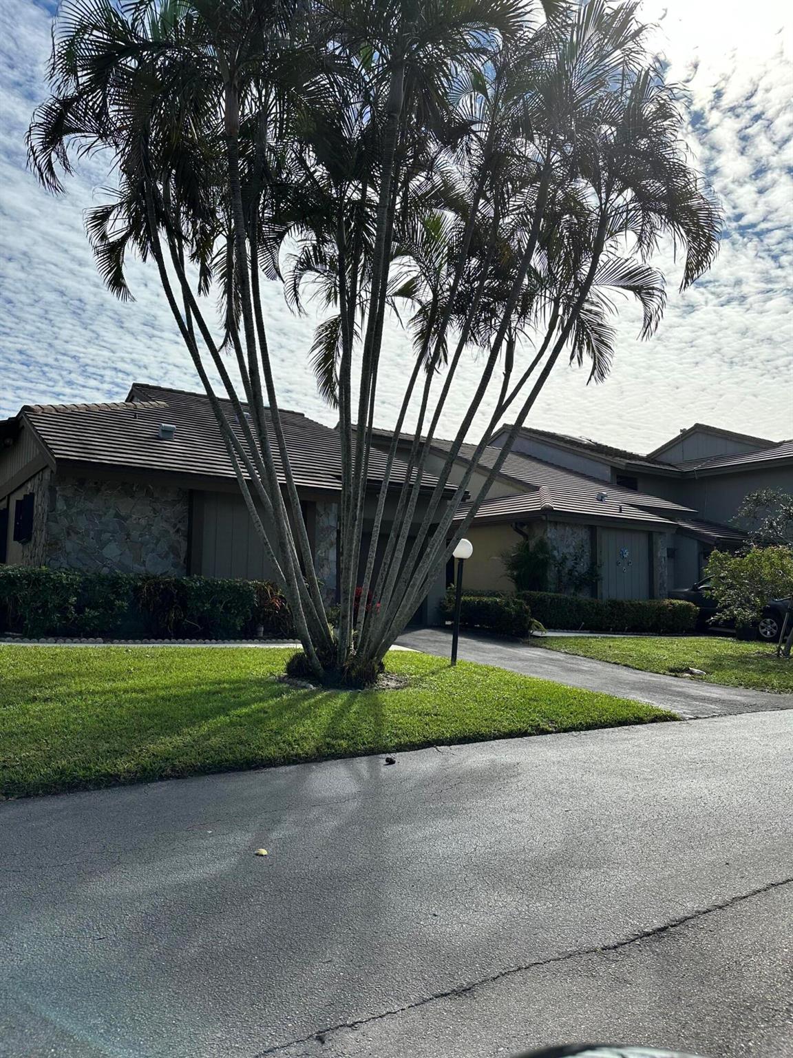 CINNAMON 2 - Residential