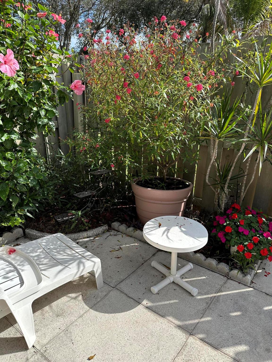 CINNAMON 2 - Residential