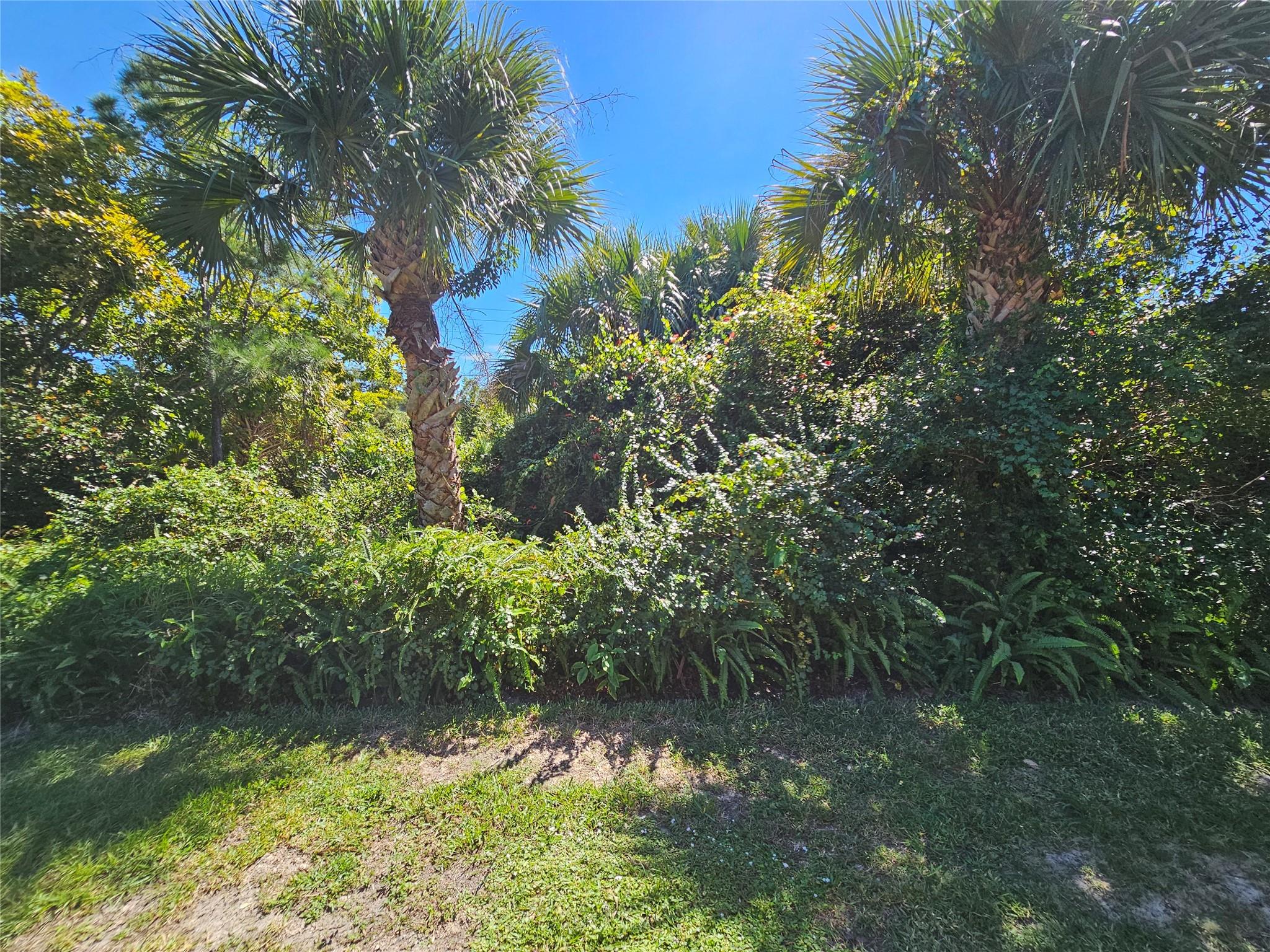 River Pines - Residential Lease