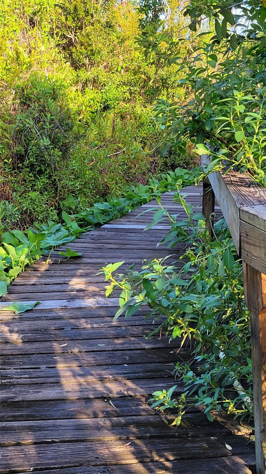 River Pines - Residential Lease