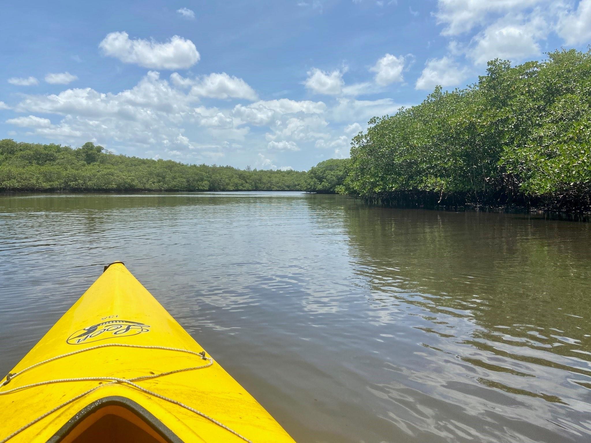 River Pines - Residential Lease