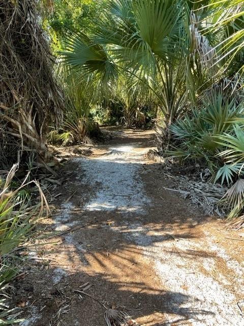 River Pines - Residential Lease