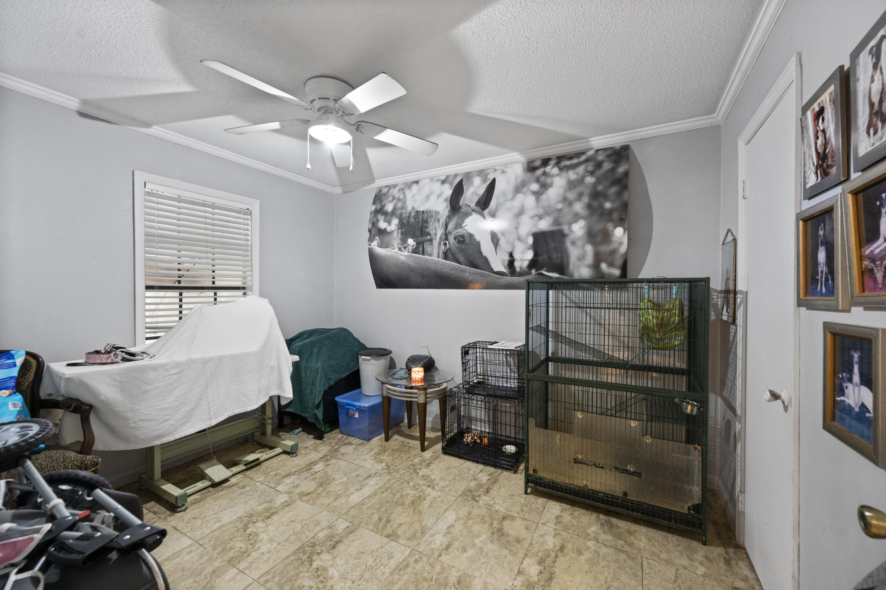 The Acreage - Residential