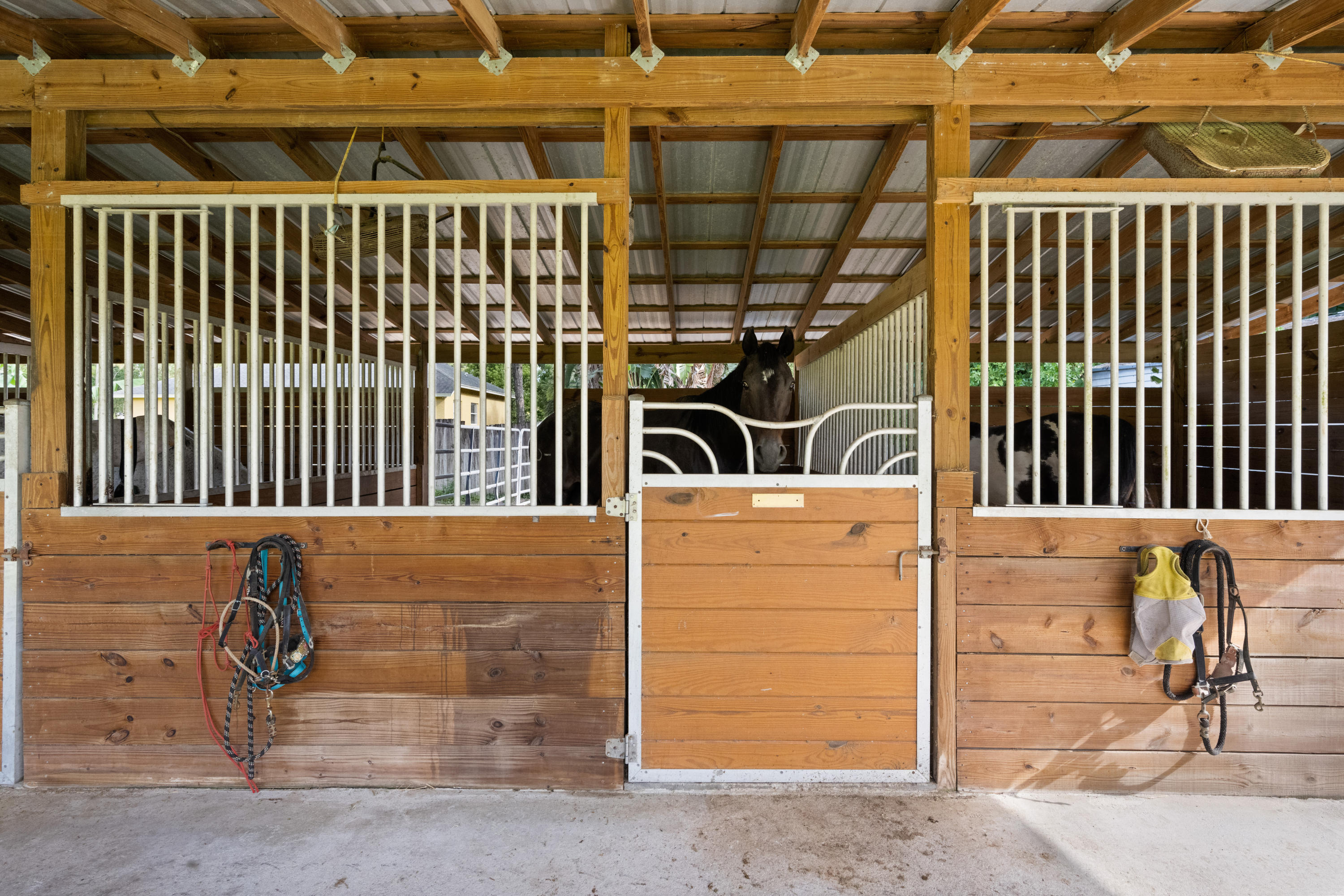 The Acreage - Residential