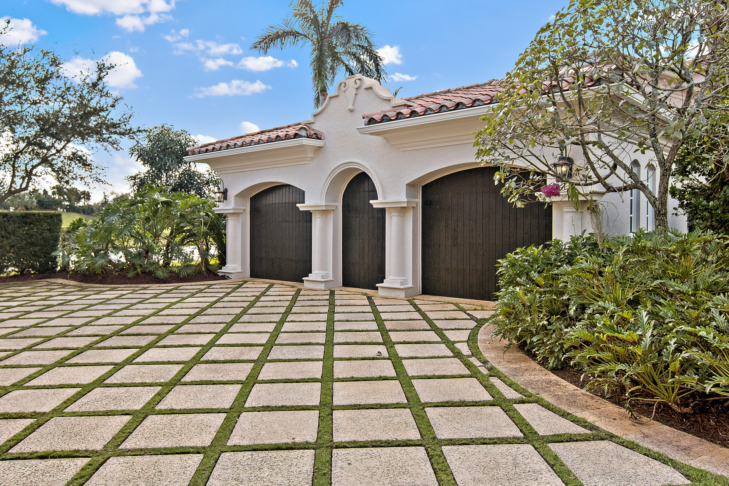 OLD PALM 5 - Residential