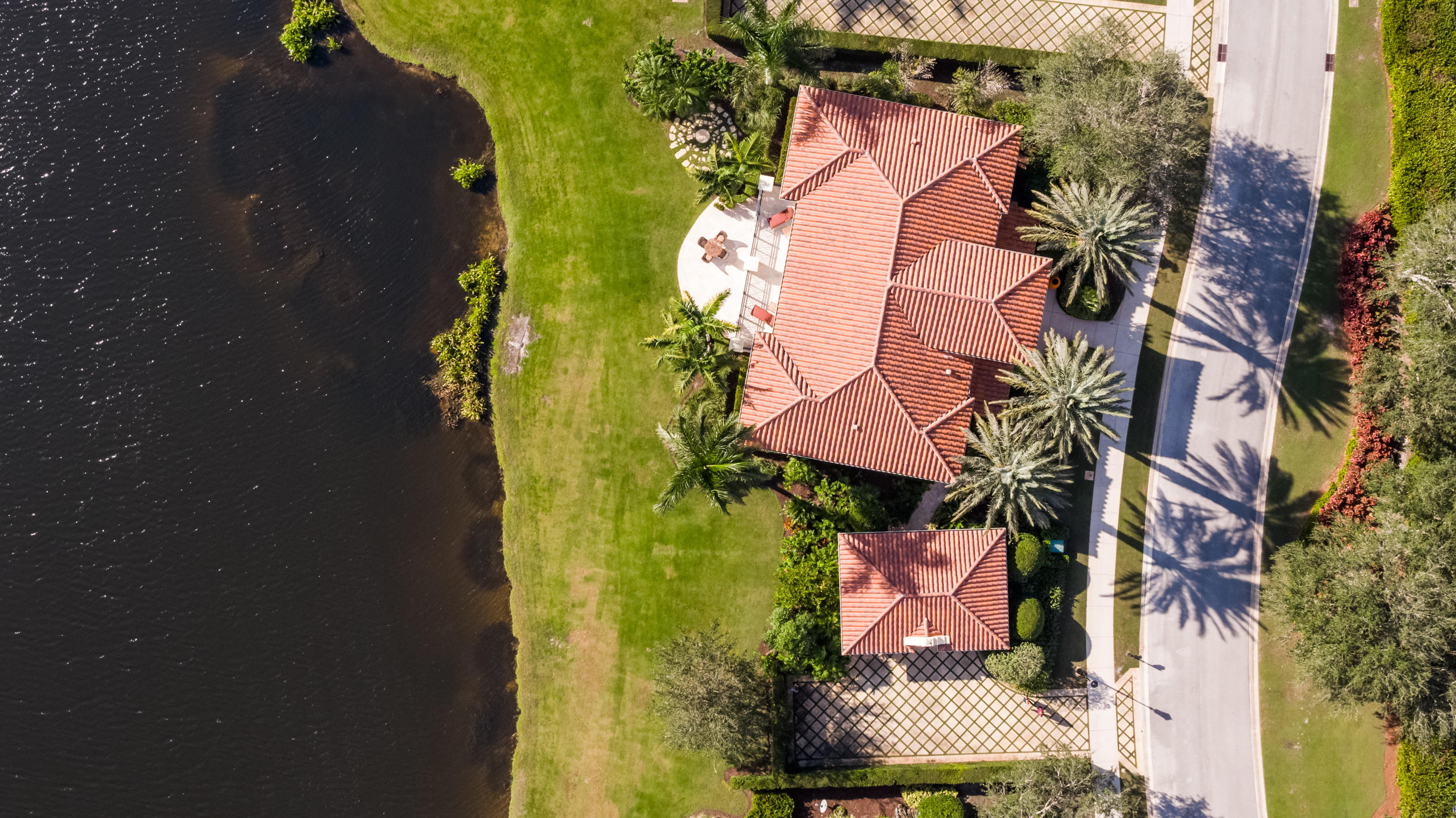 OLD PALM 5 - Residential