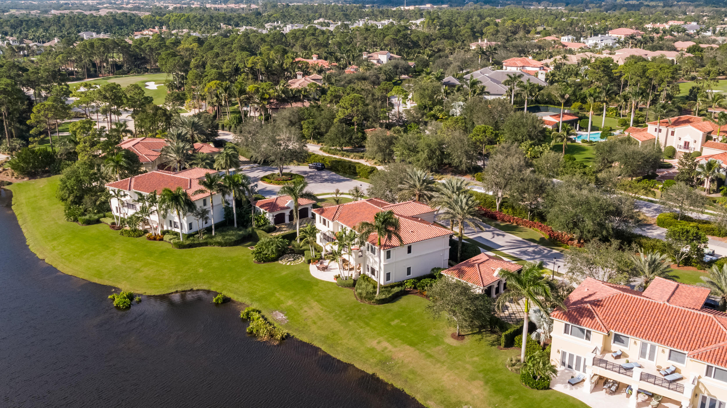 OLD PALM 5 - Residential