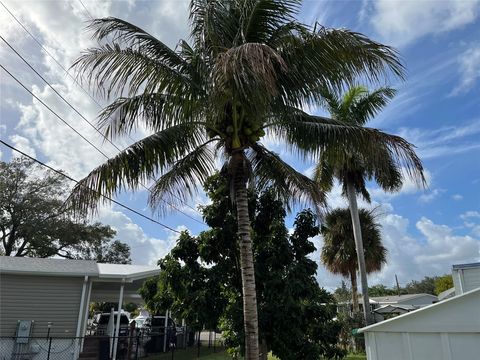 A home in Davie