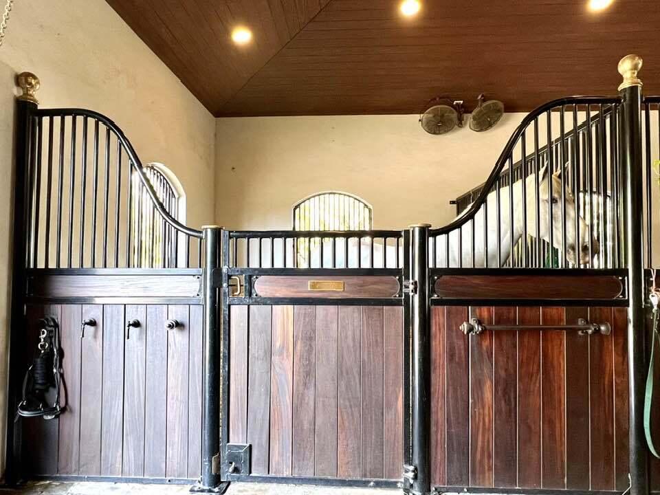 PADDOCK PARK 2 OF WELLINGTON - Residential