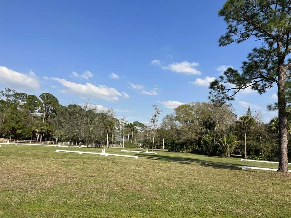 PADDOCK PARK 2 OF WELLINGTON - Residential