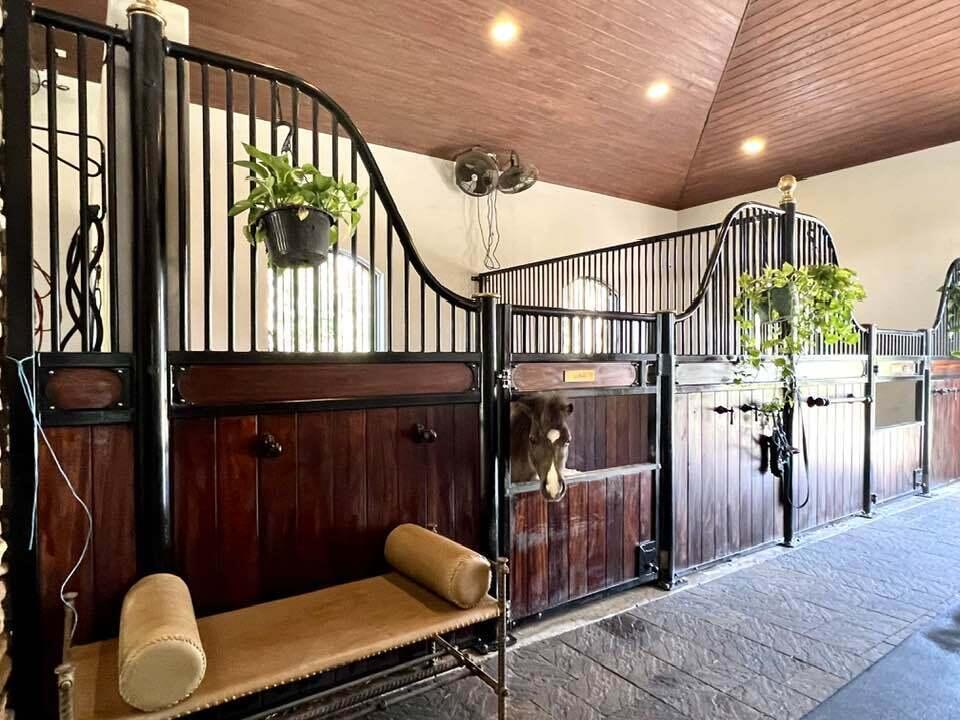 PADDOCK PARK 2 OF WELLING - Residential