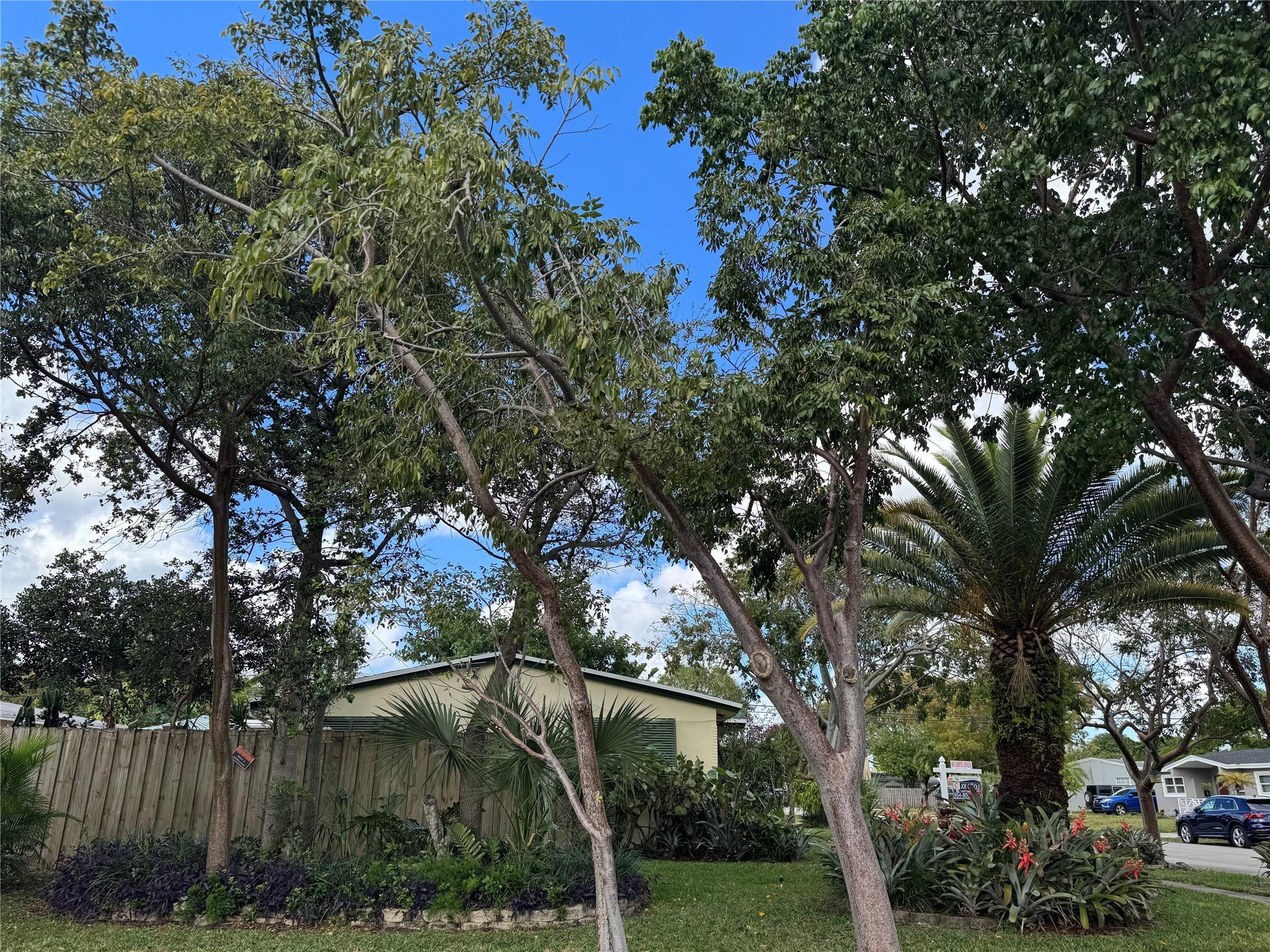 3421 SW 15th Street