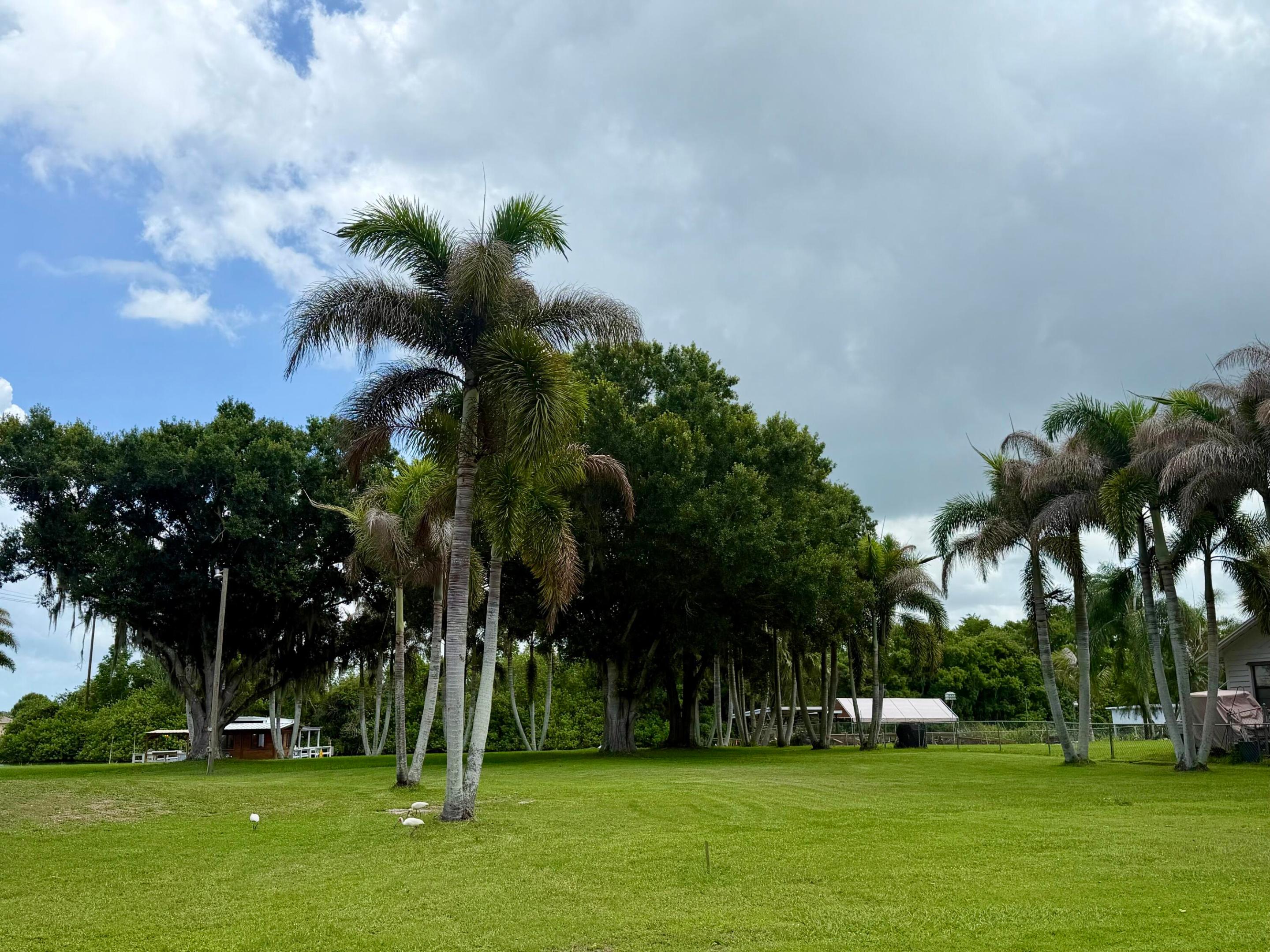 TAYLOR CREEK - Residential